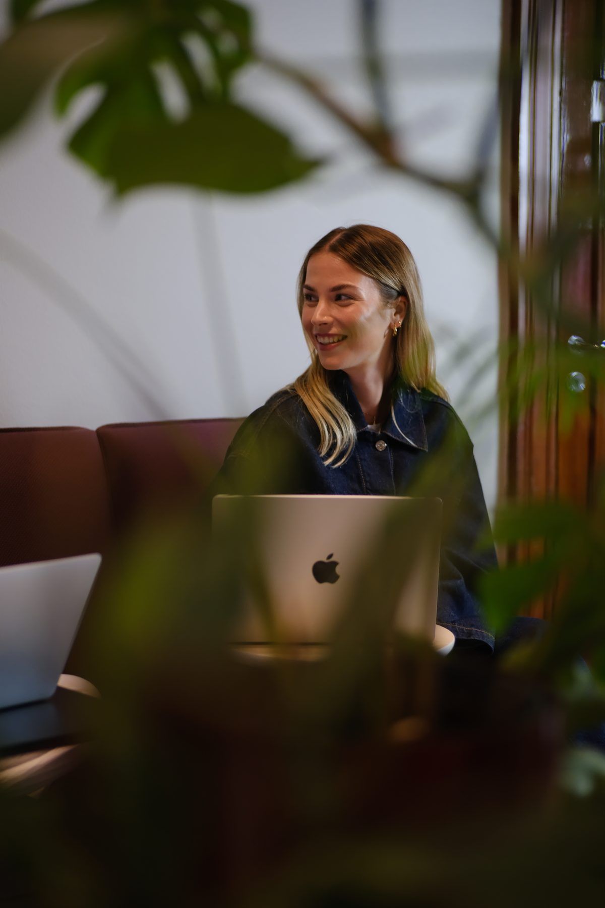 A calm workspace with a green plant next to a screen